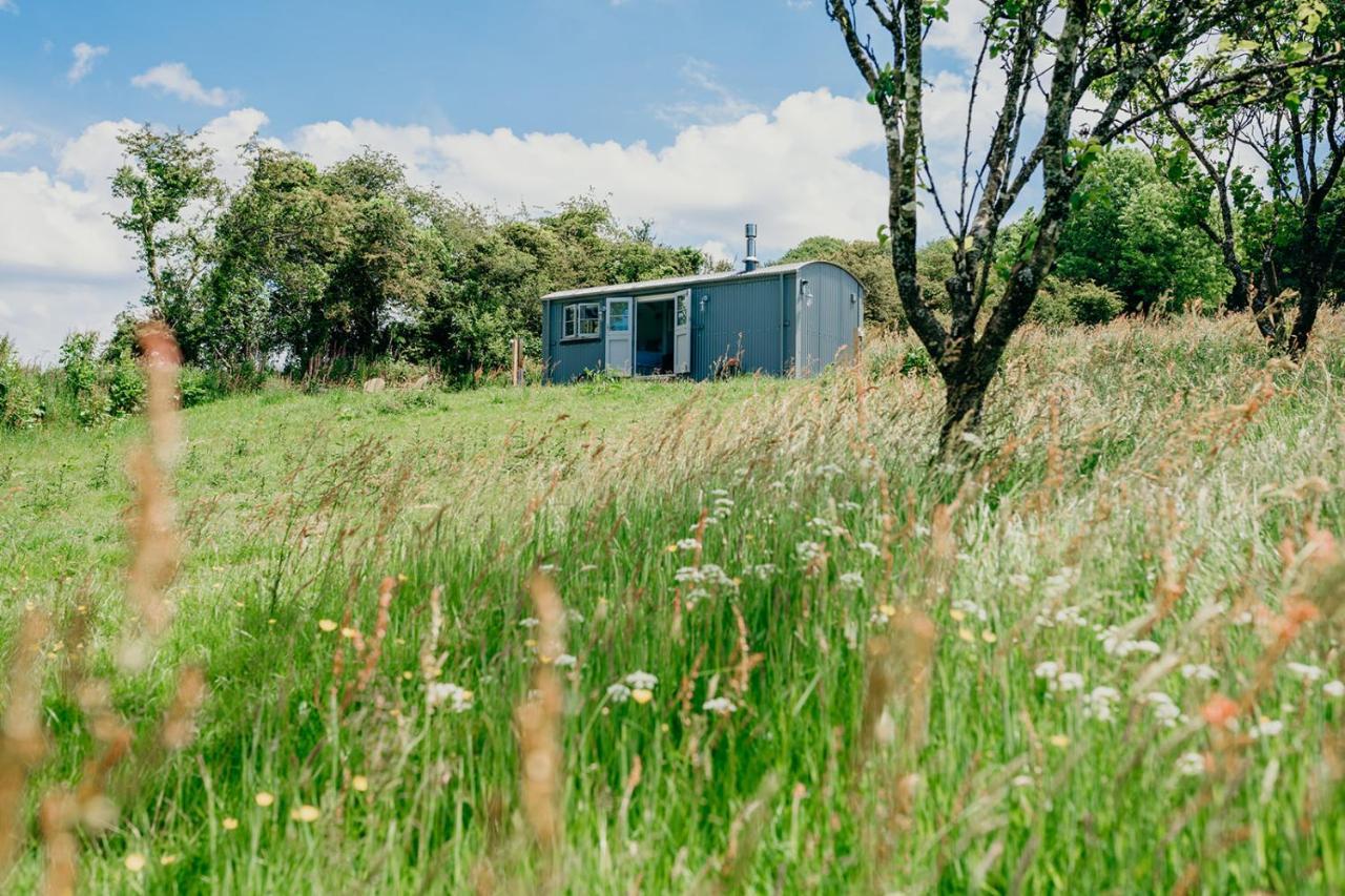 Blatchford Briar - Award Winning Private Shephards Huts With Their Own Secluded Hot Tubs Milton Abbot Экстерьер фото