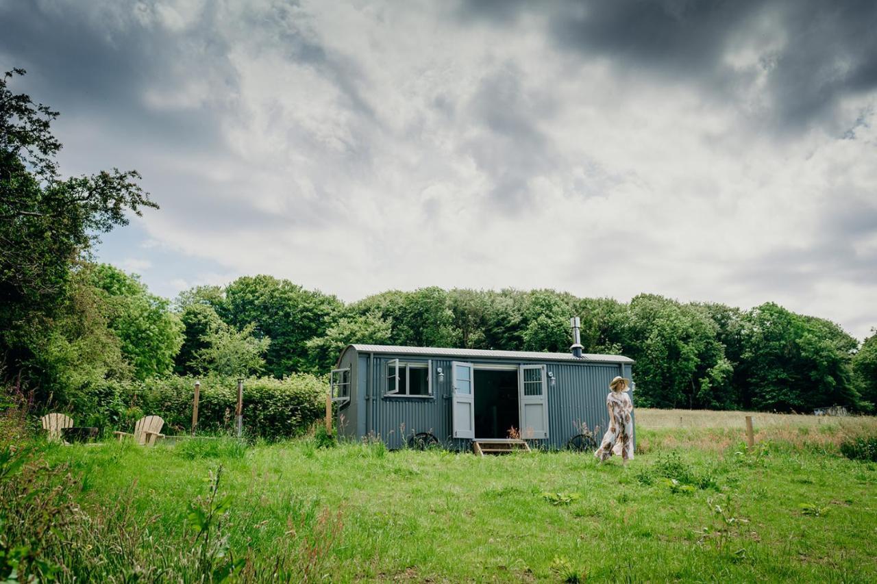 Blatchford Briar - Award Winning Private Shephards Huts With Their Own Secluded Hot Tubs Milton Abbot Экстерьер фото